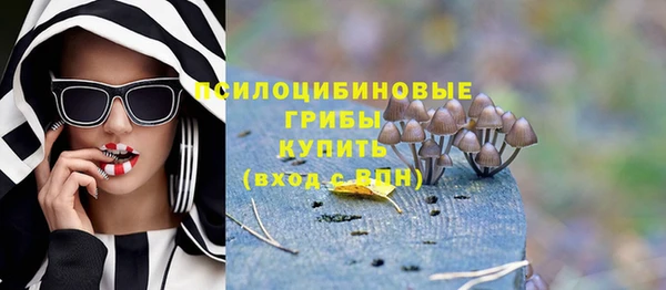 гидра Алзамай