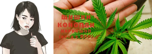 гидра Алексеевка