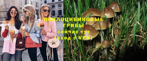 герыч Алексин