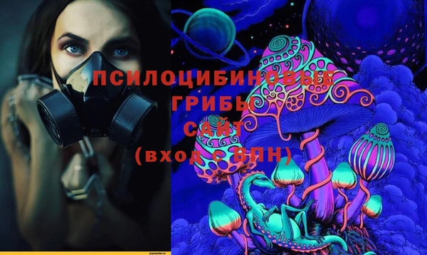гидра Алзамай