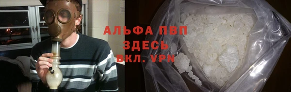 гидра Алексеевка