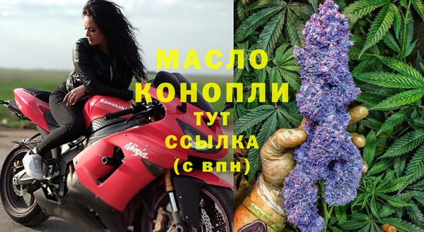 гидра Алексеевка