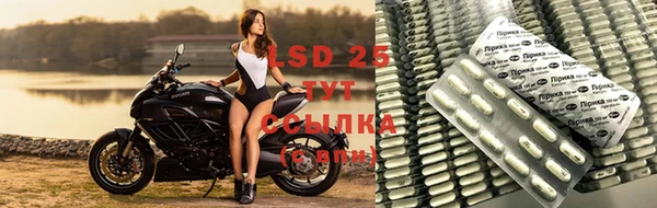 гидра Алзамай