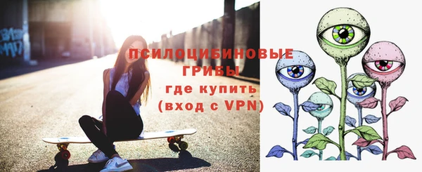 гидра Алзамай